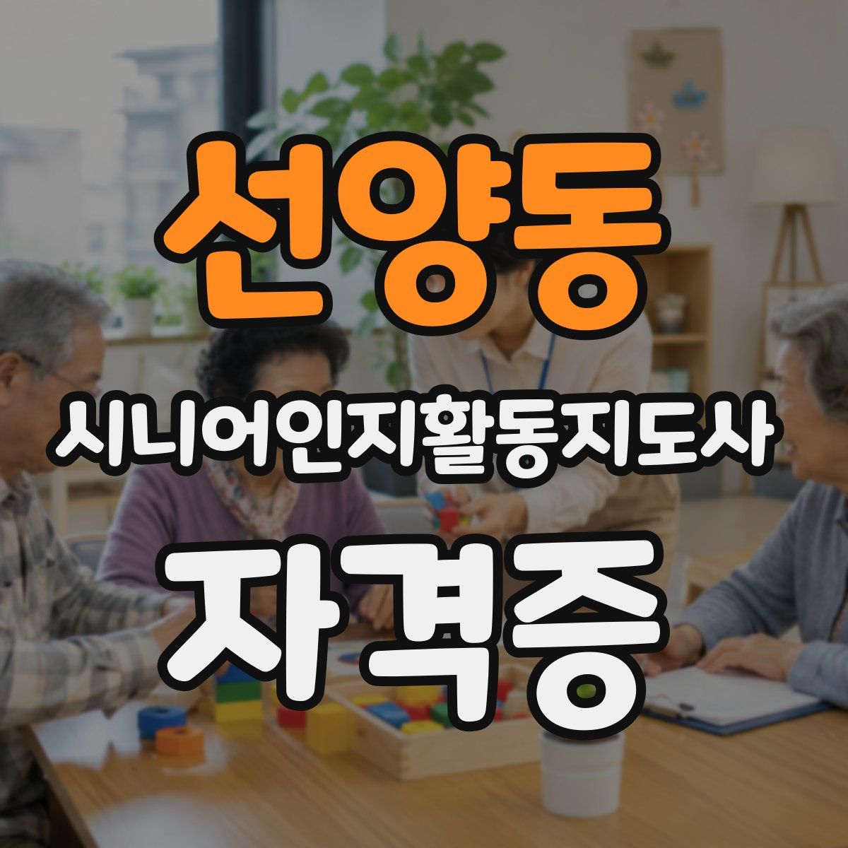 선양동 시니어인지활동지도사 자격증