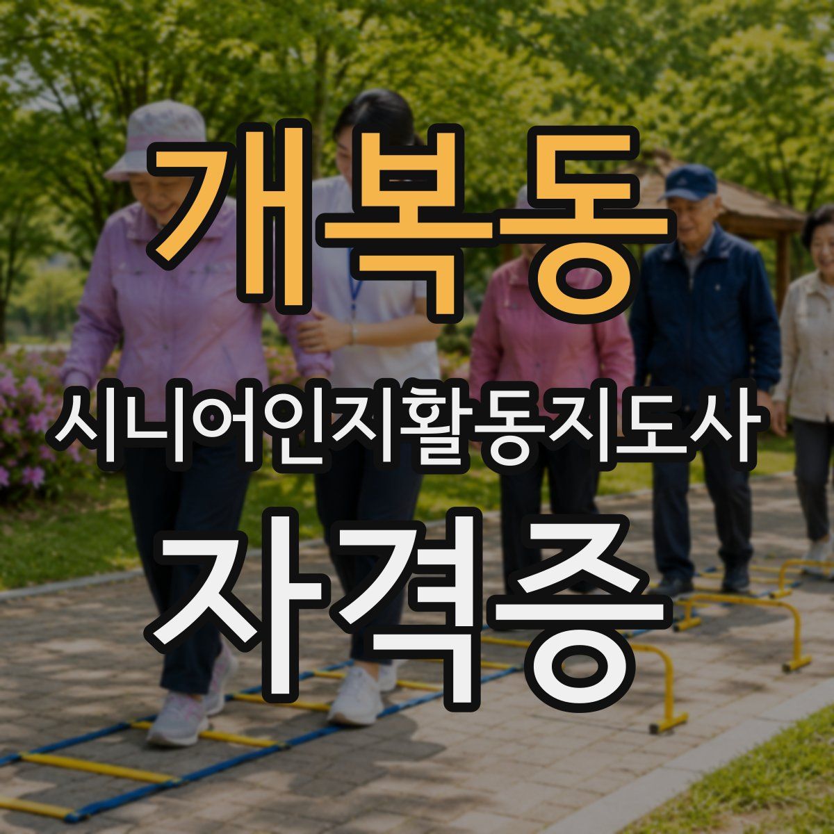 개복동 시니어인지활동지도사 자격증