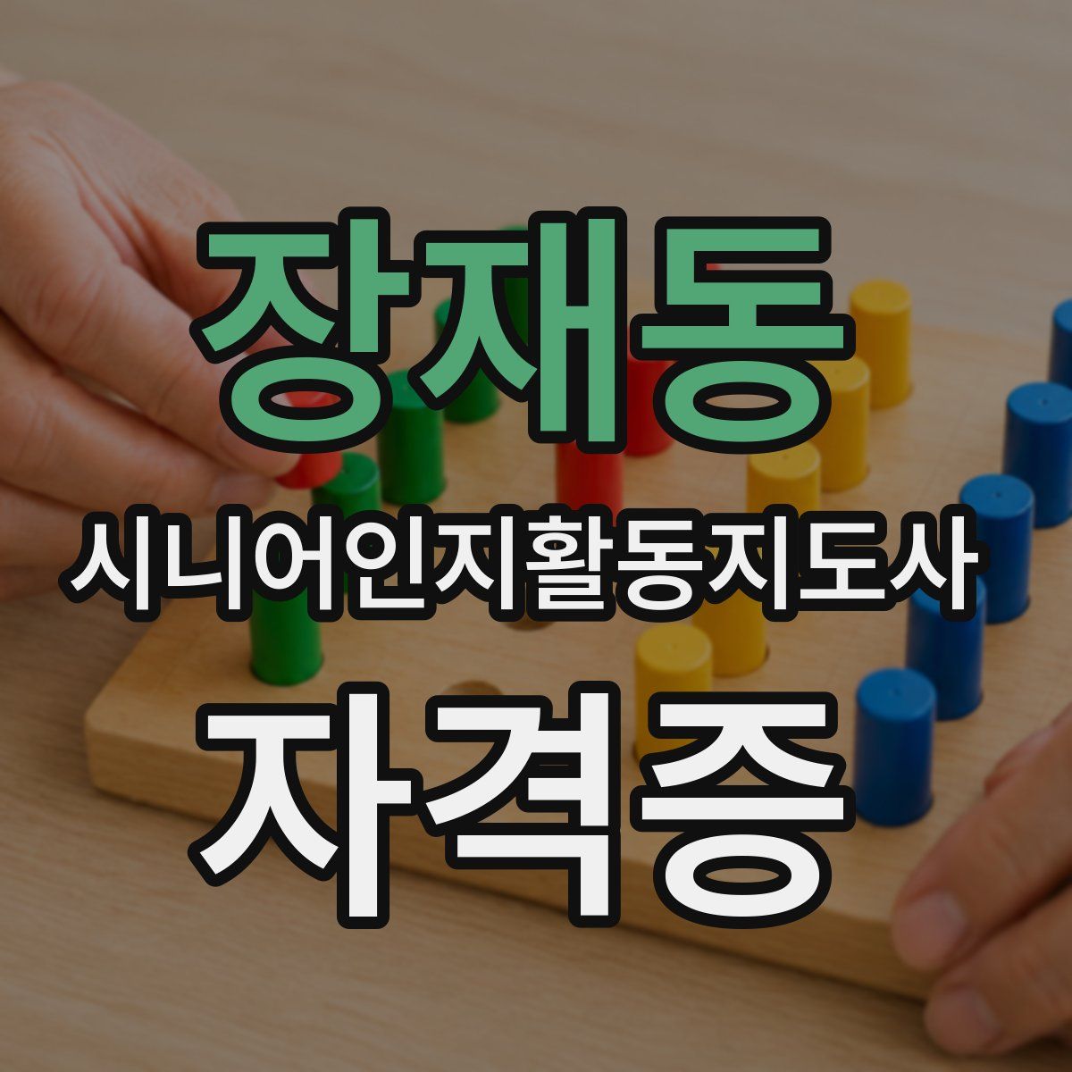 장재동 시니어인지활동지도사 자격증