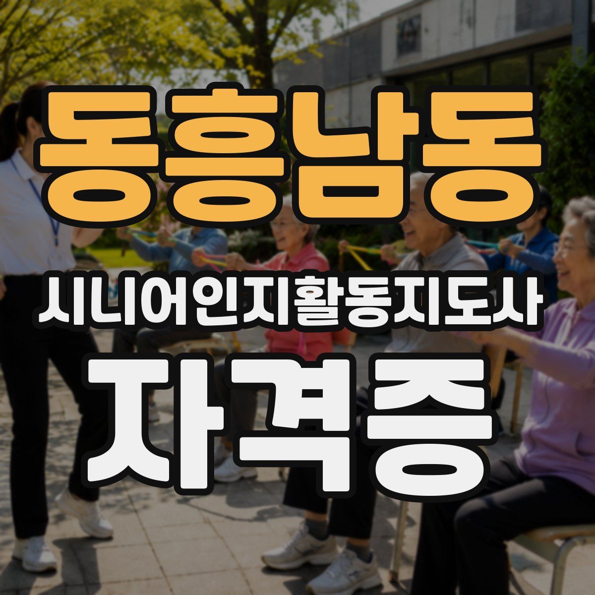 동흥남동 시니어인지활동지도사 자격증