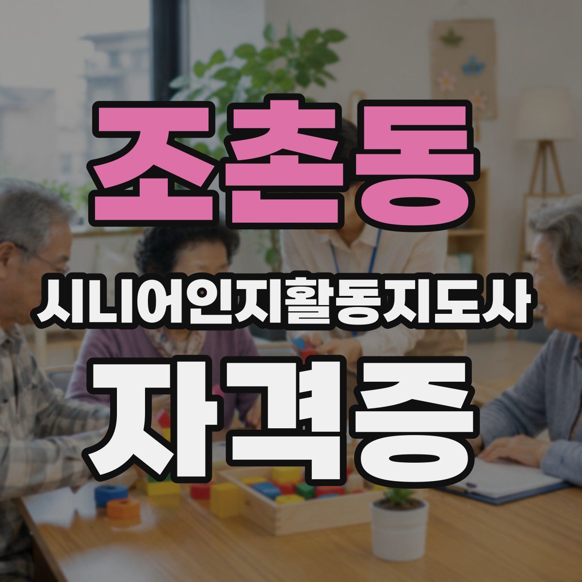 조촌동 시니어인지활동지도사 자격증