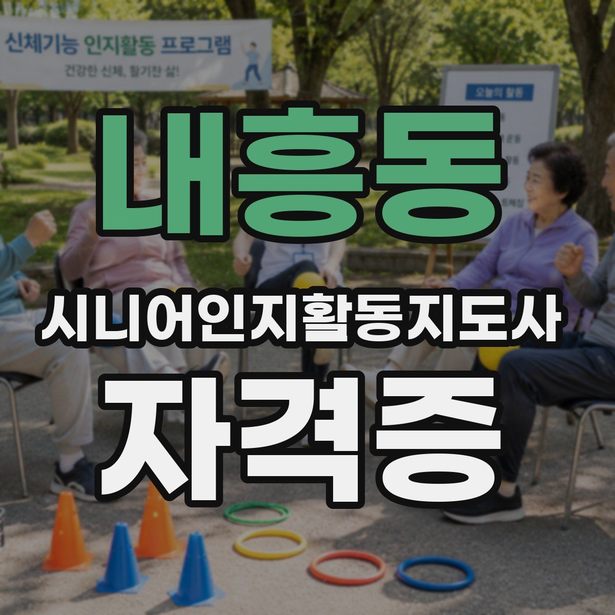 내흥동 시니어인지활동지도사 자격증