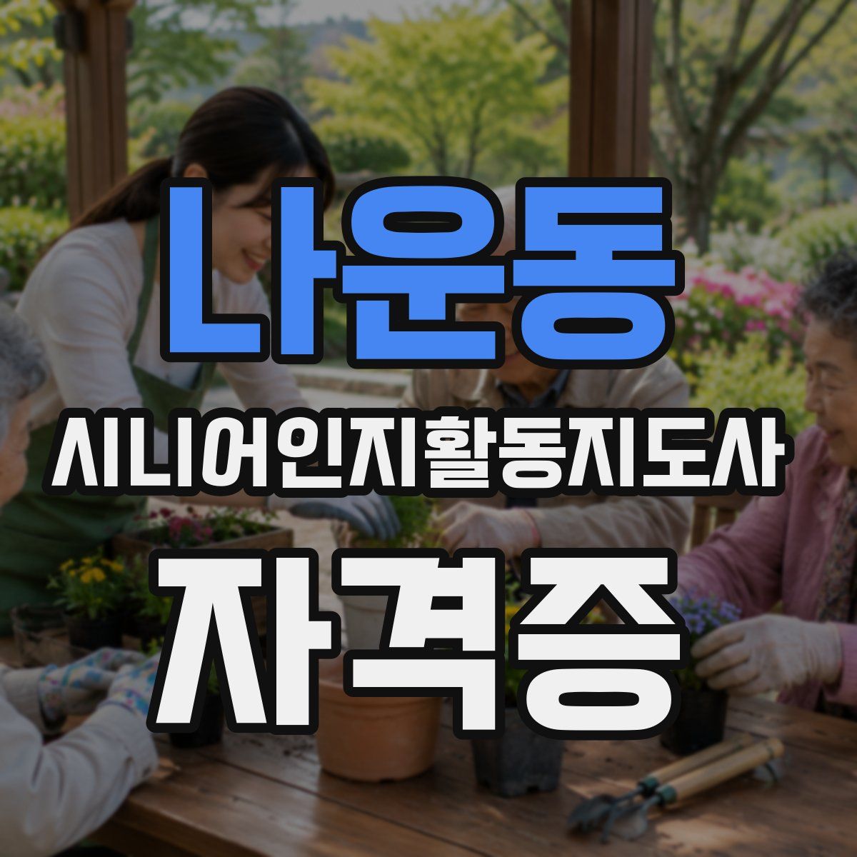 나운동 시니어인지활동지도사 자격증