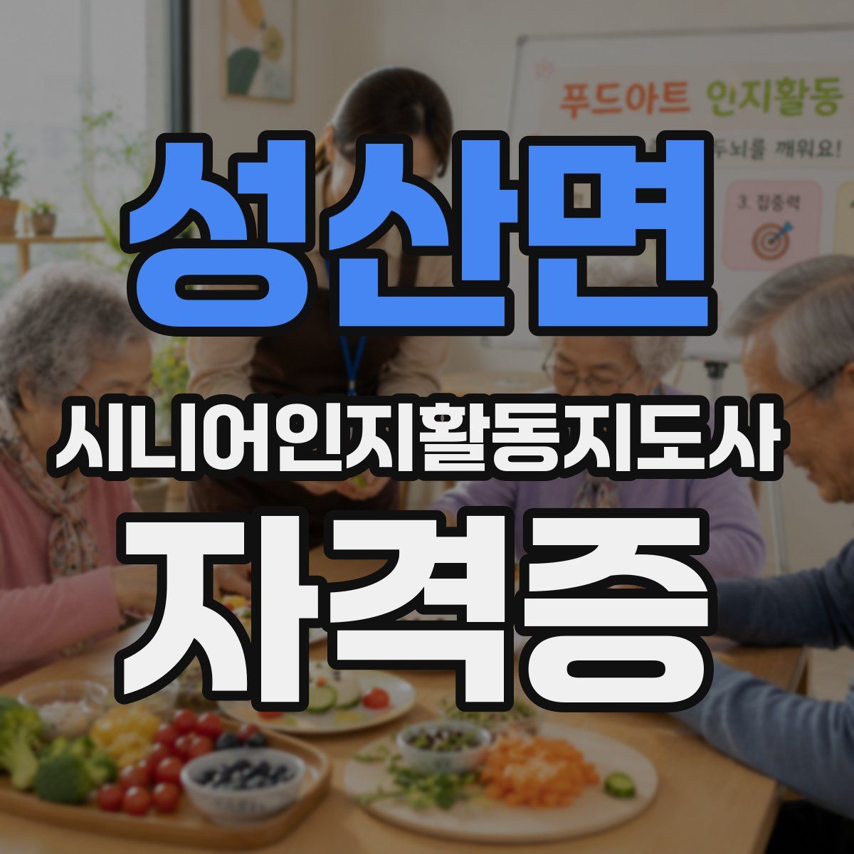 성산면 시니어인지활동지도사 자격증