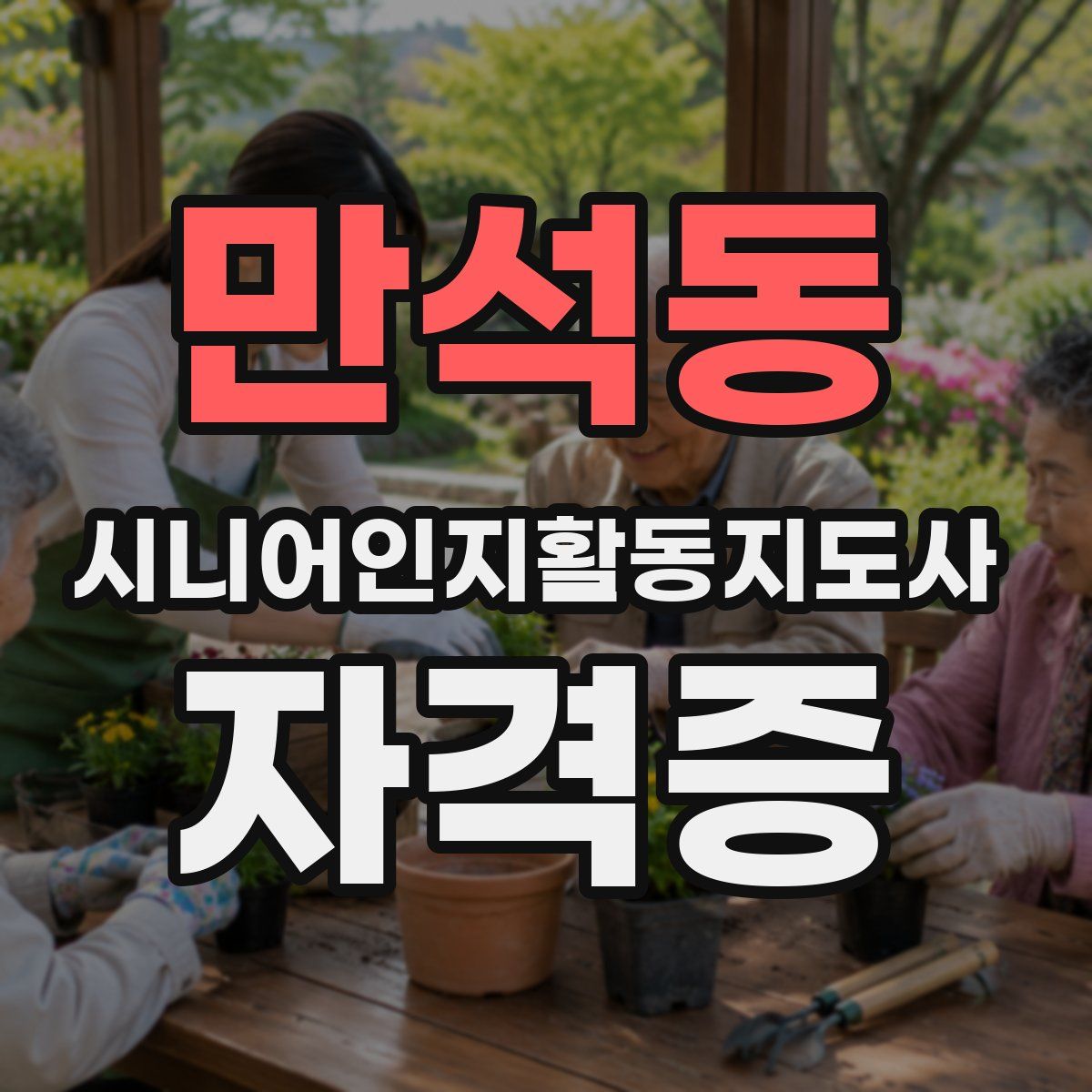 만석동 시니어인지활동지도사 자격증