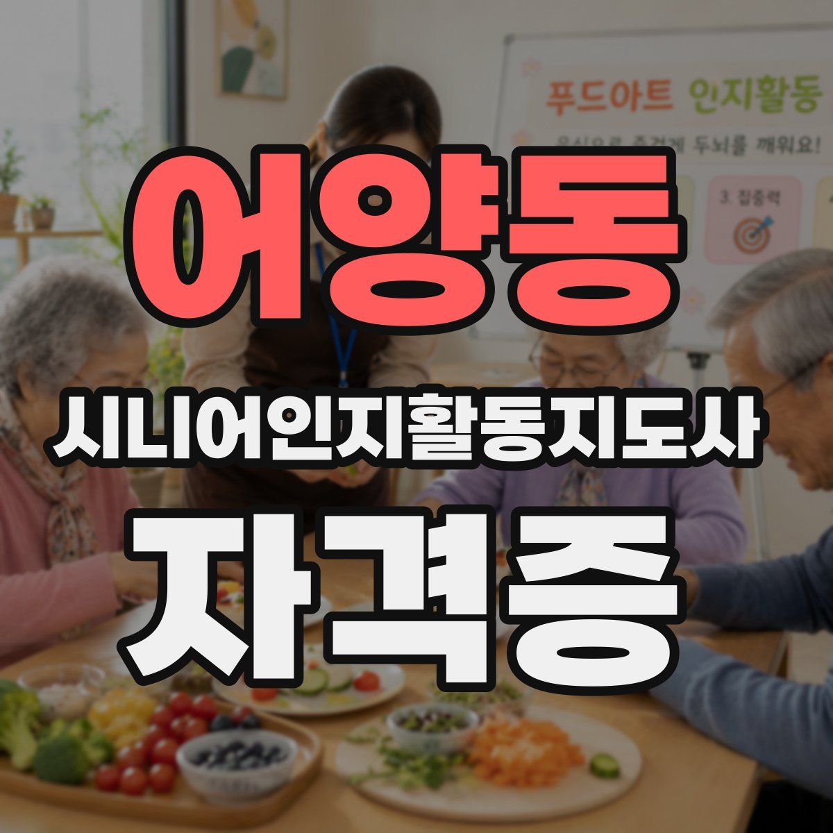 어양동 시니어인지활동지도사 자격증