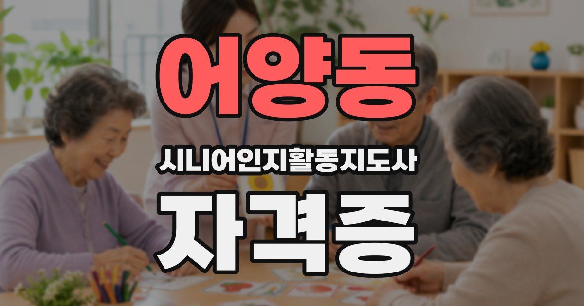 어양동 시니어인지활동지도사 자격증