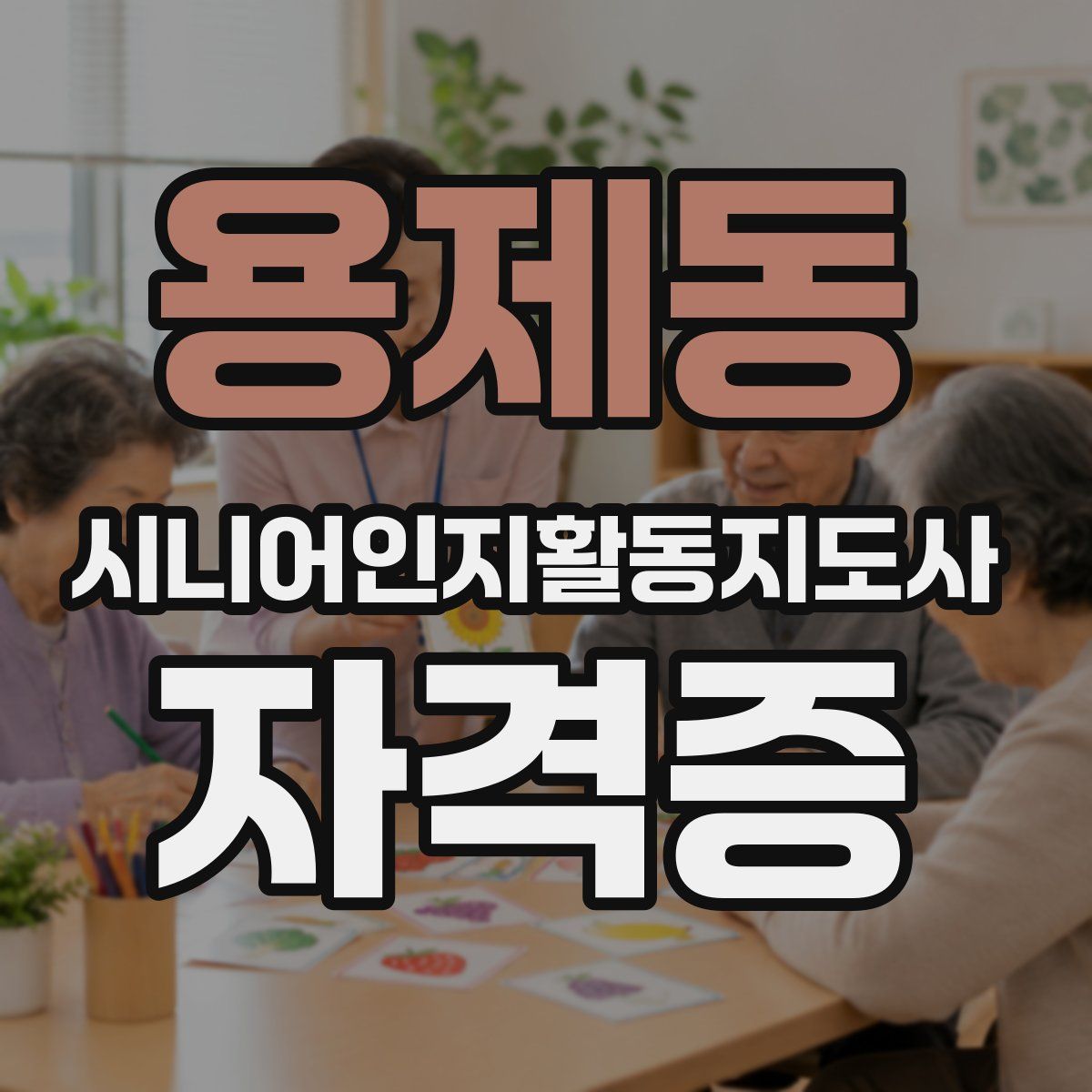 용제동 시니어인지활동지도사 자격증
