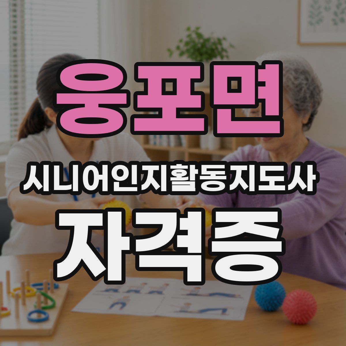 웅포면 시니어인지활동지도사 자격증