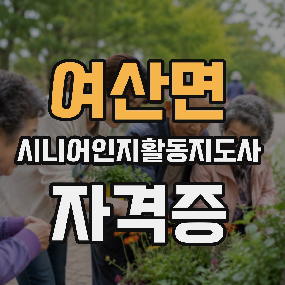 여산면 시니어인지활동지도사 자격증