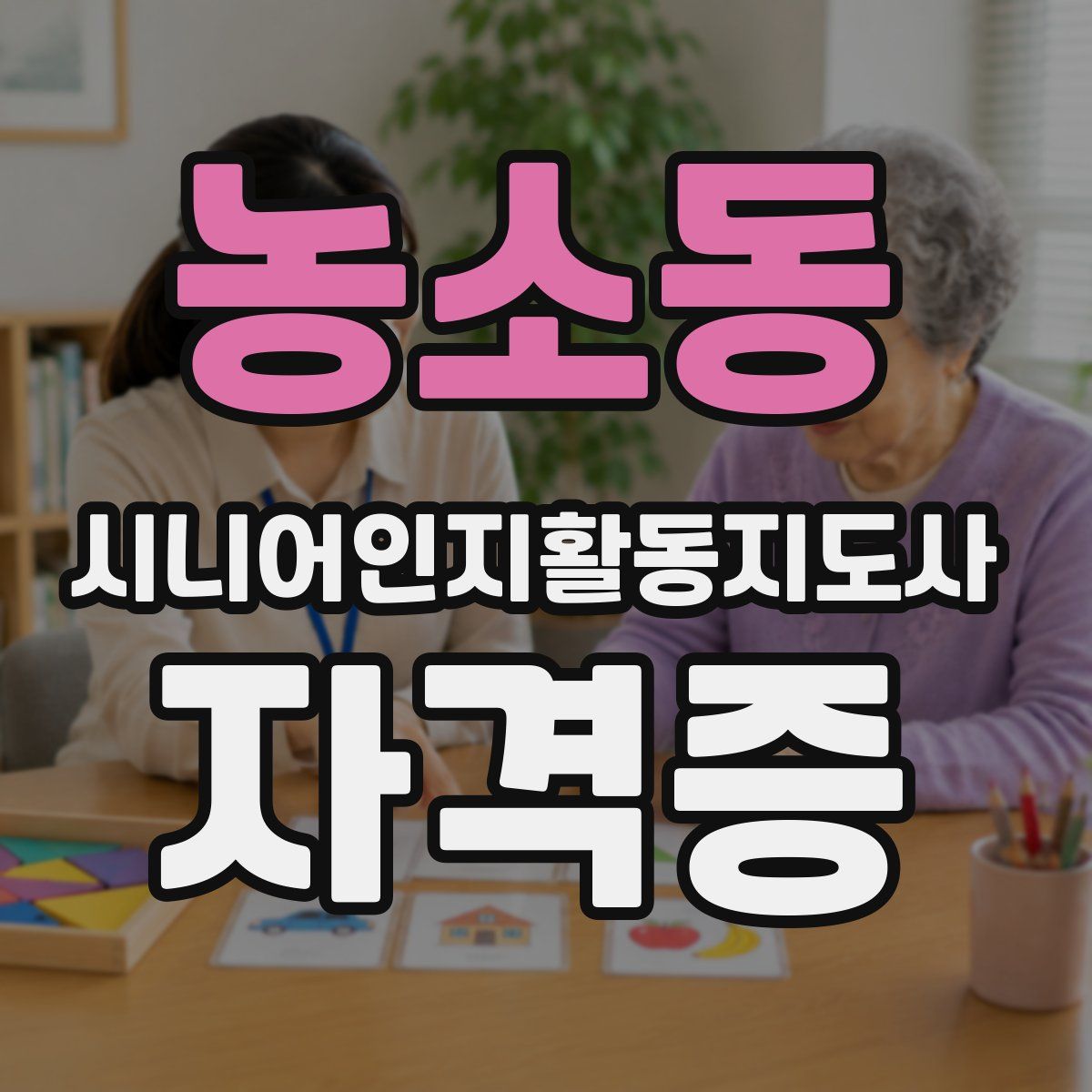 농소동 시니어인지활동지도사 자격증