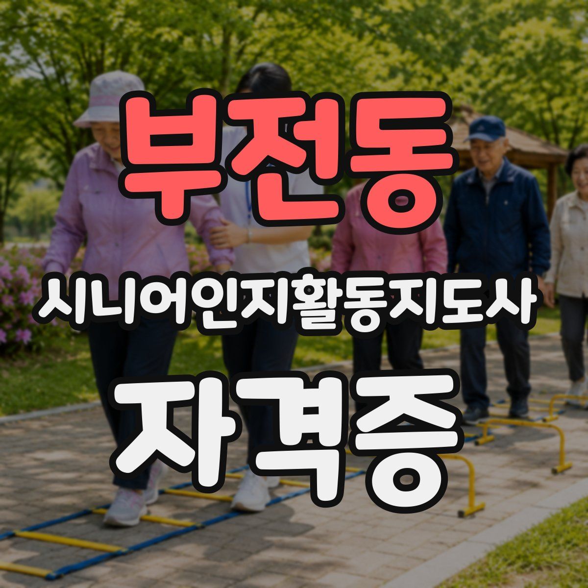 부전동 시니어인지활동지도사 자격증