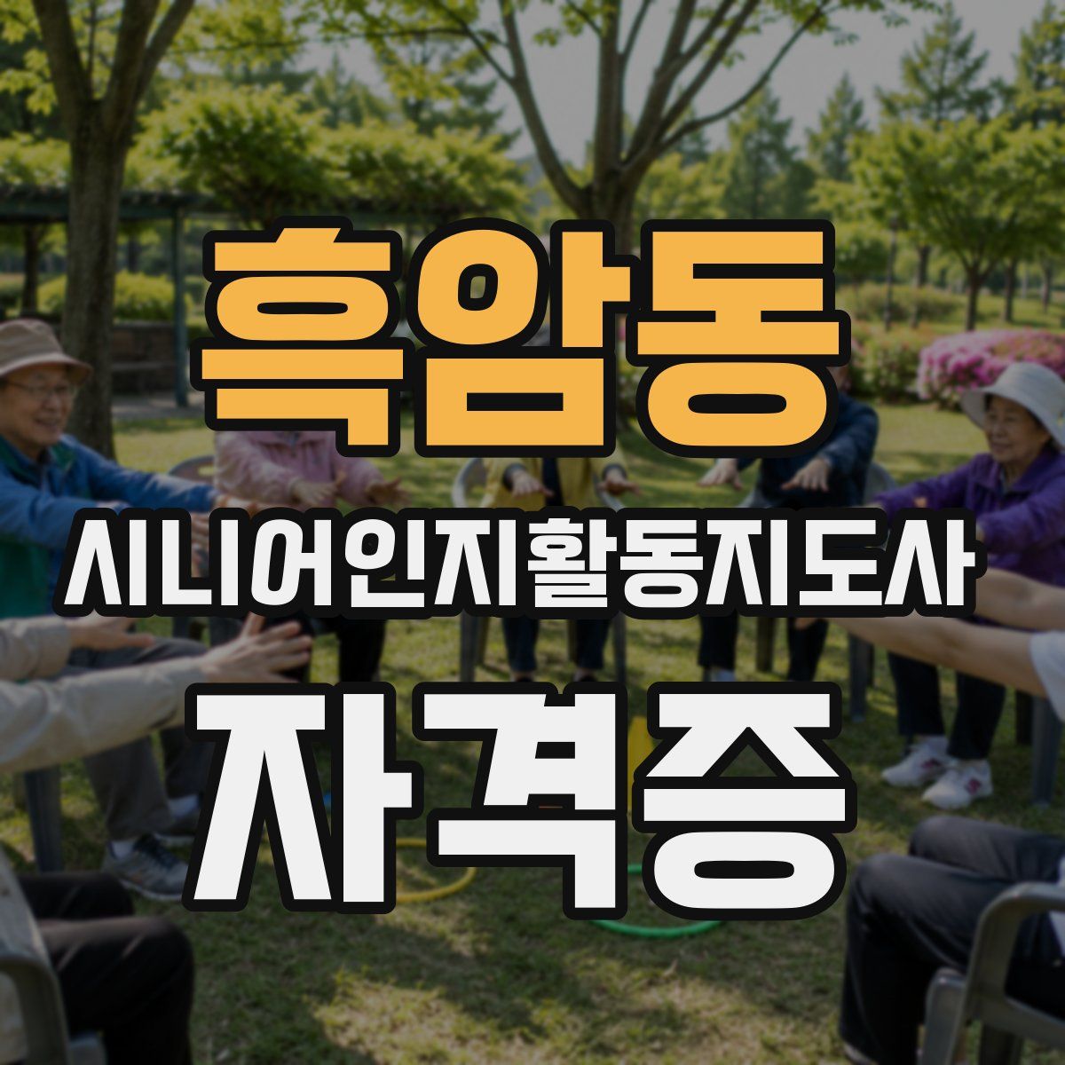 흑암동 시니어인지활동지도사 자격증