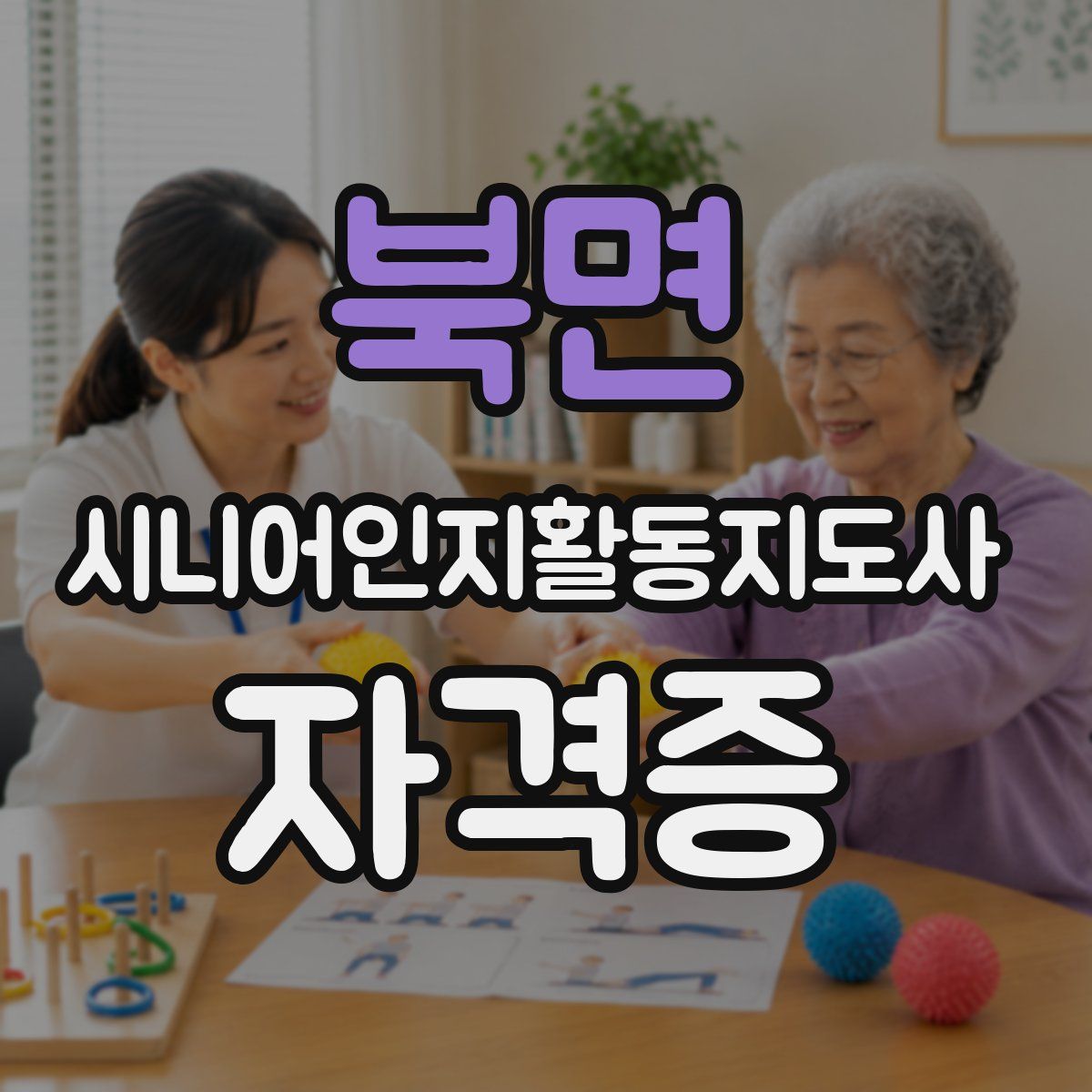 북면 시니어인지활동지도사 자격증