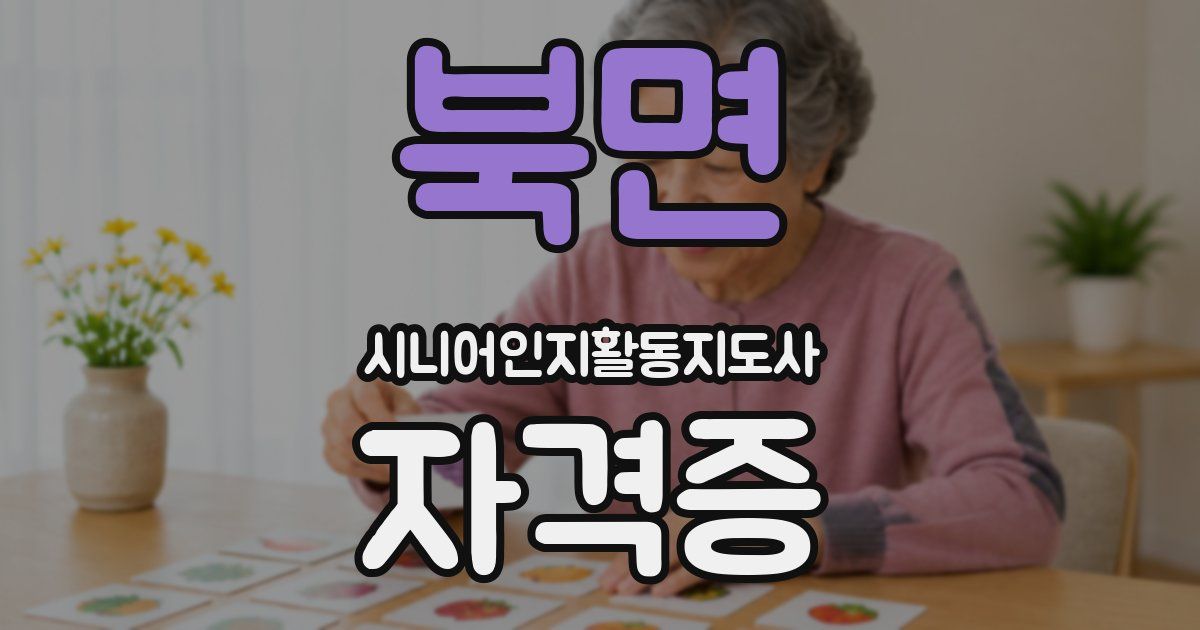 북면 시니어인지활동지도사 자격증