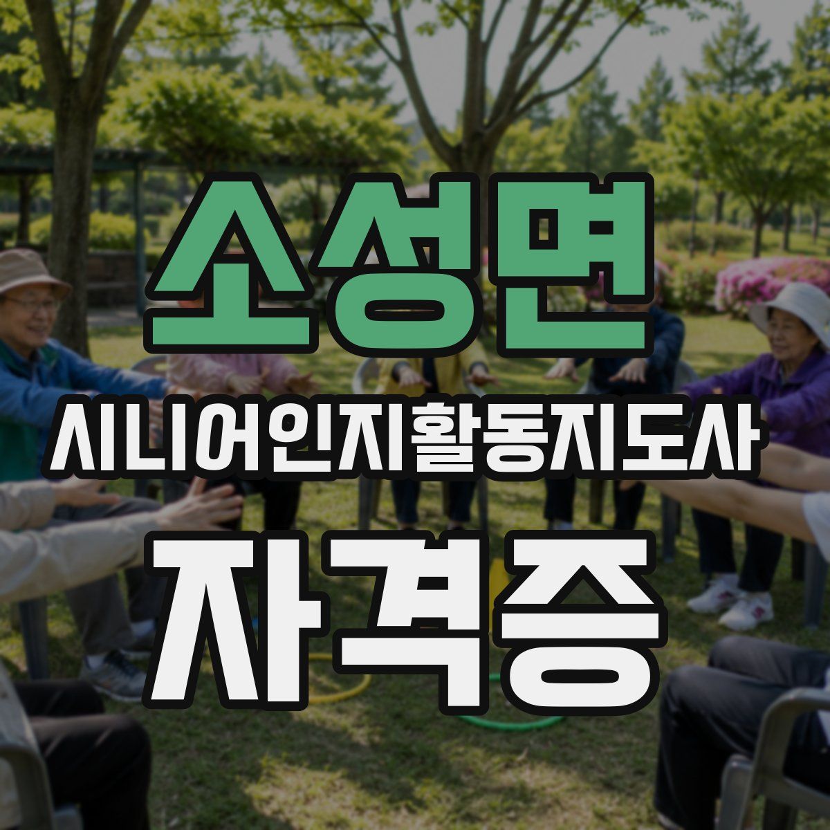소성면 시니어인지활동지도사 자격증