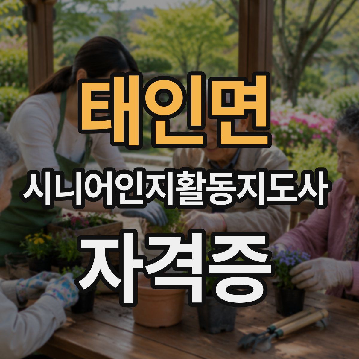 태인면 시니어인지활동지도사 자격증