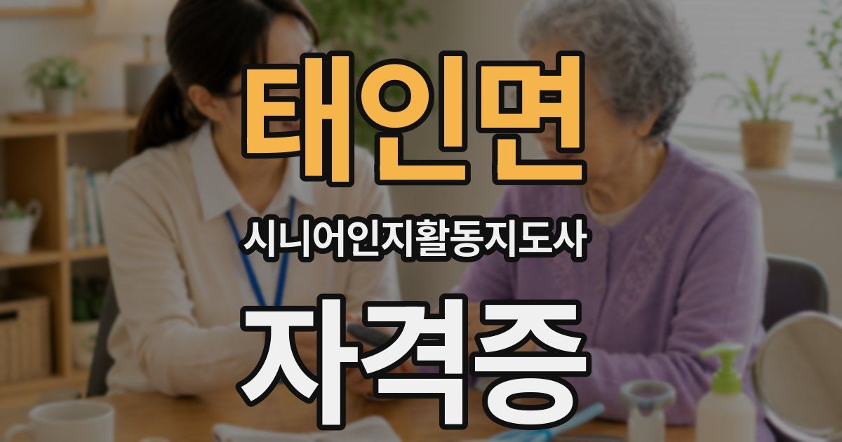 태인면 시니어인지활동지도사 자격증