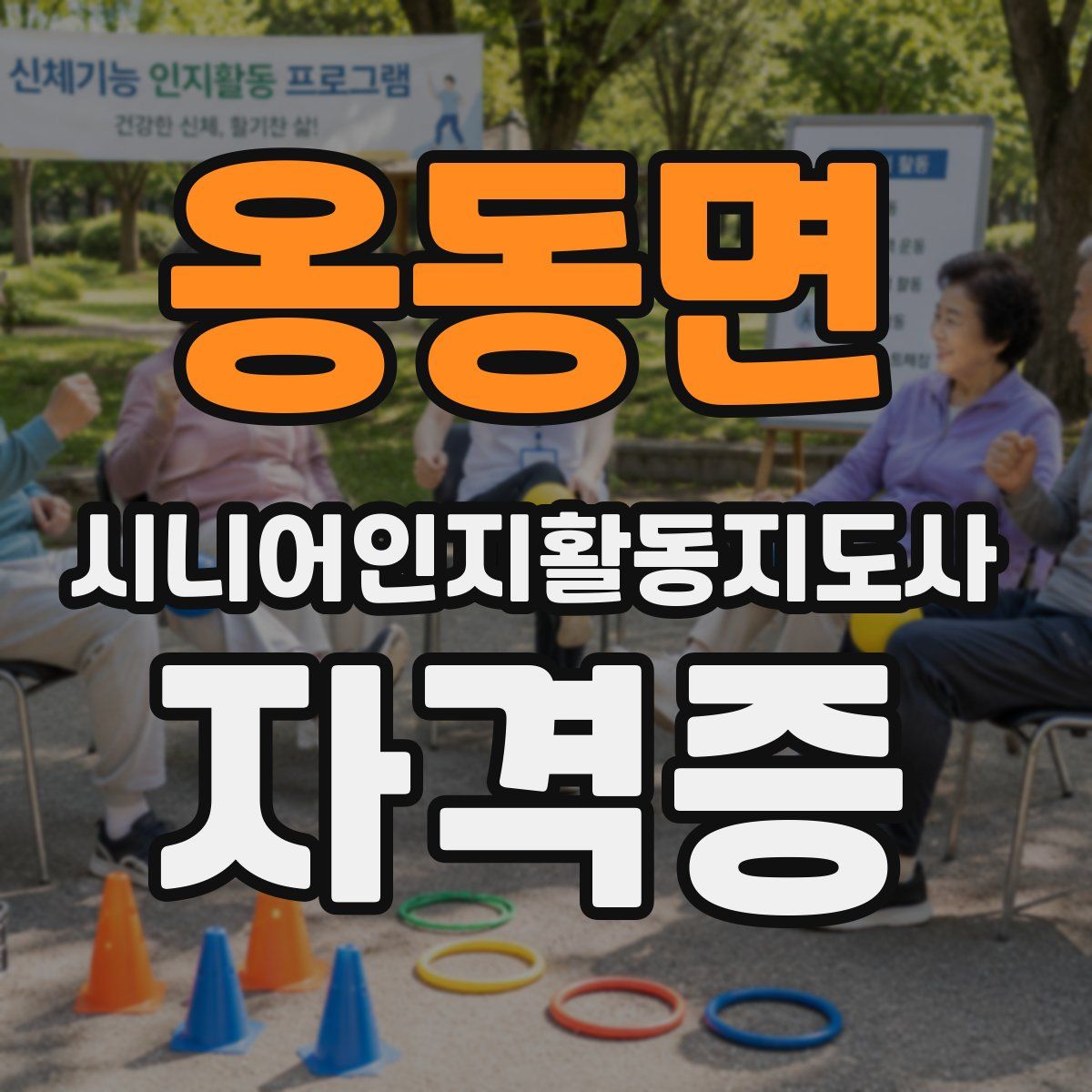 옹동면 시니어인지활동지도사 자격증