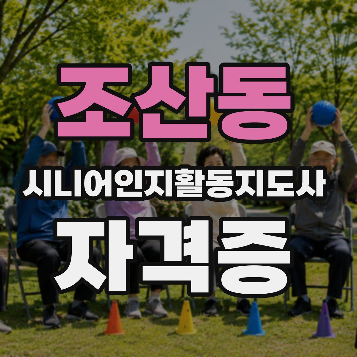 조산동 시니어인지활동지도사 자격증
