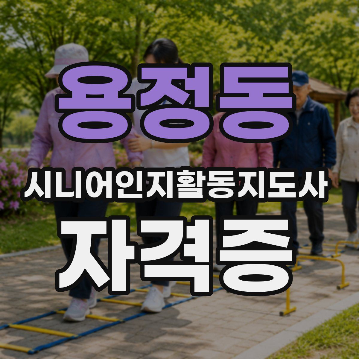 용정동 시니어인지활동지도사 자격증