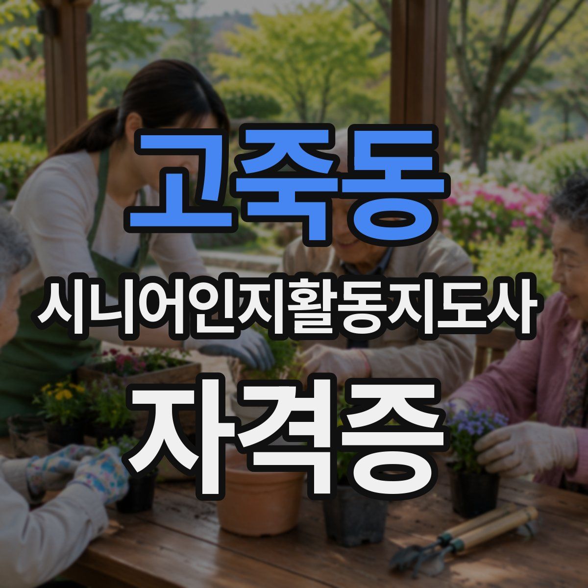고죽동 시니어인지활동지도사 자격증