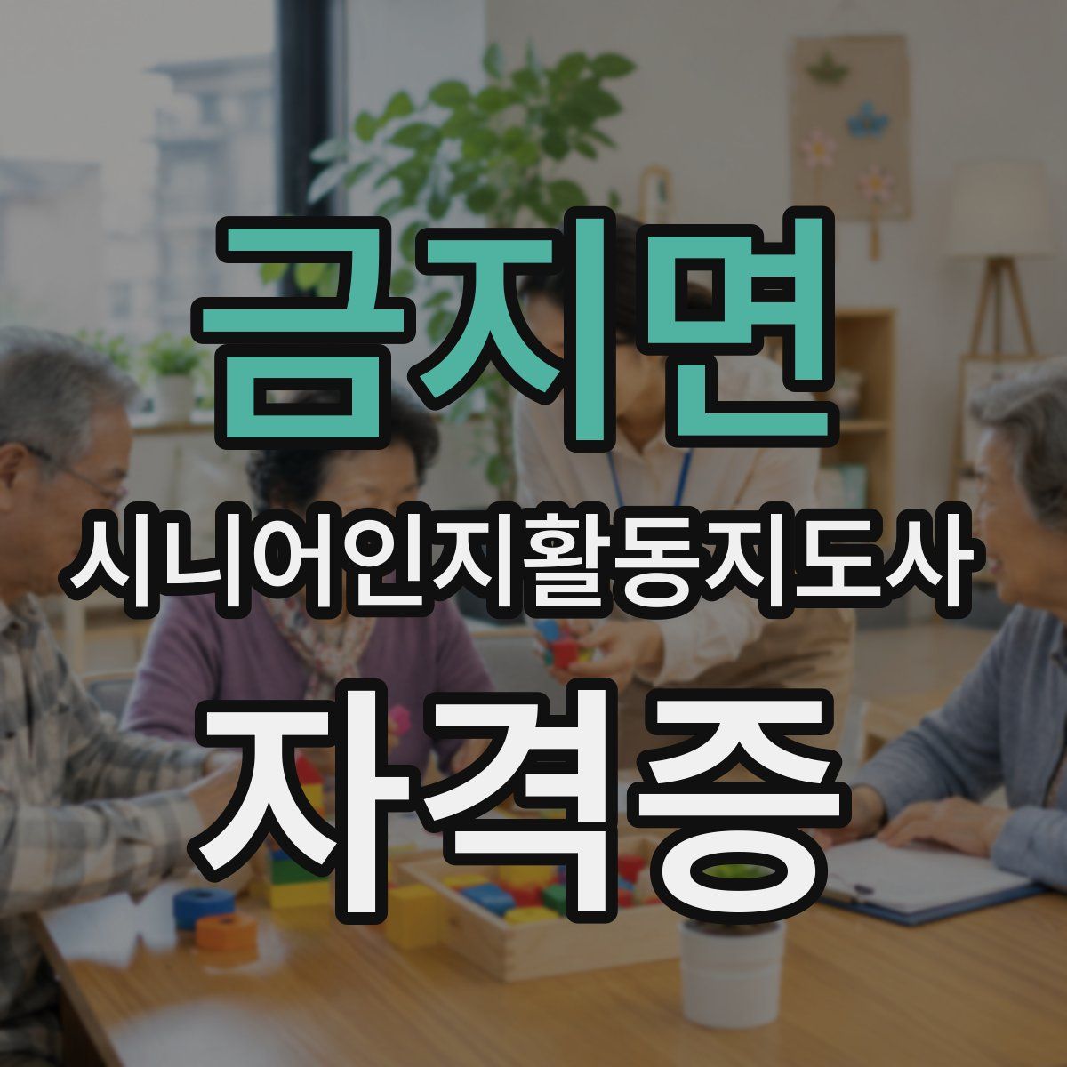 금지면 시니어인지활동지도사 자격증