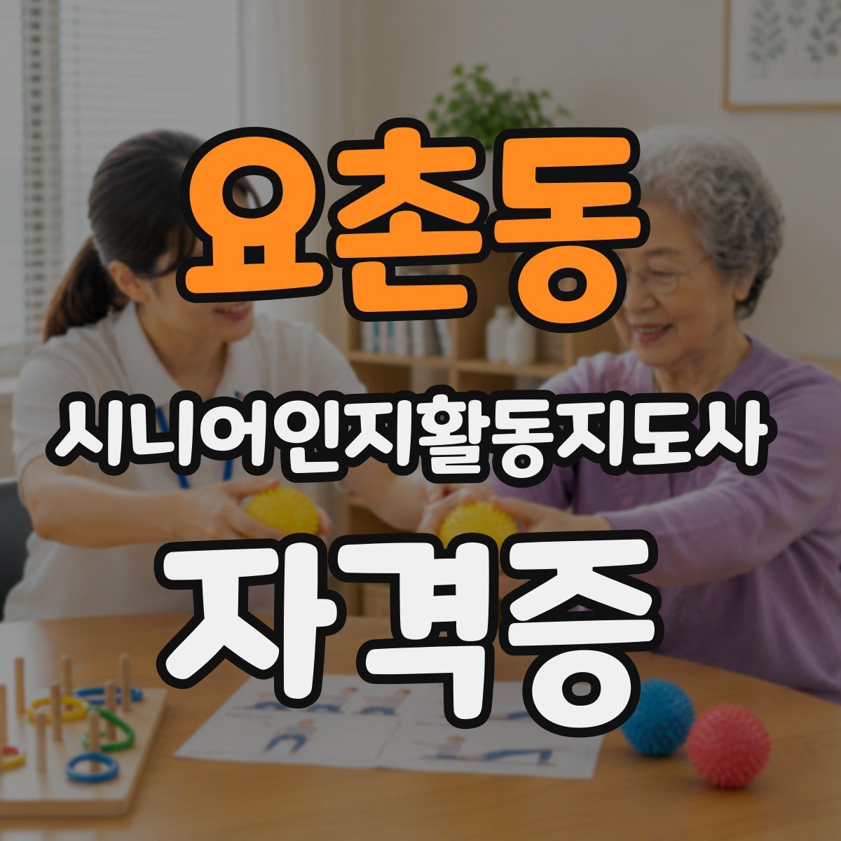 요촌동 시니어인지활동지도사 자격증