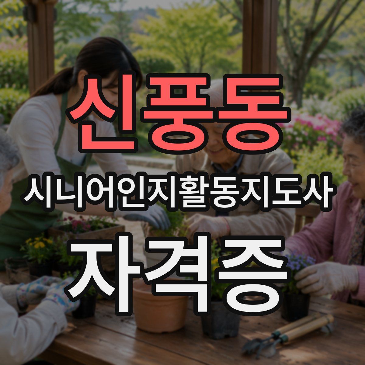 신풍동 시니어인지활동지도사 자격증