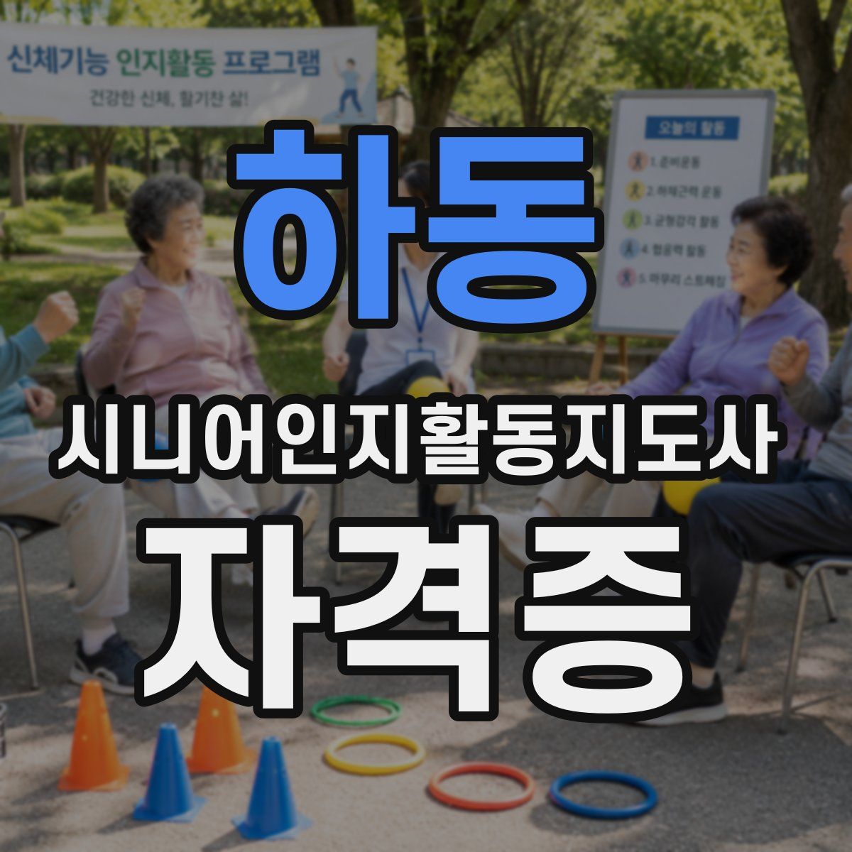 하동 시니어인지활동지도사 자격증