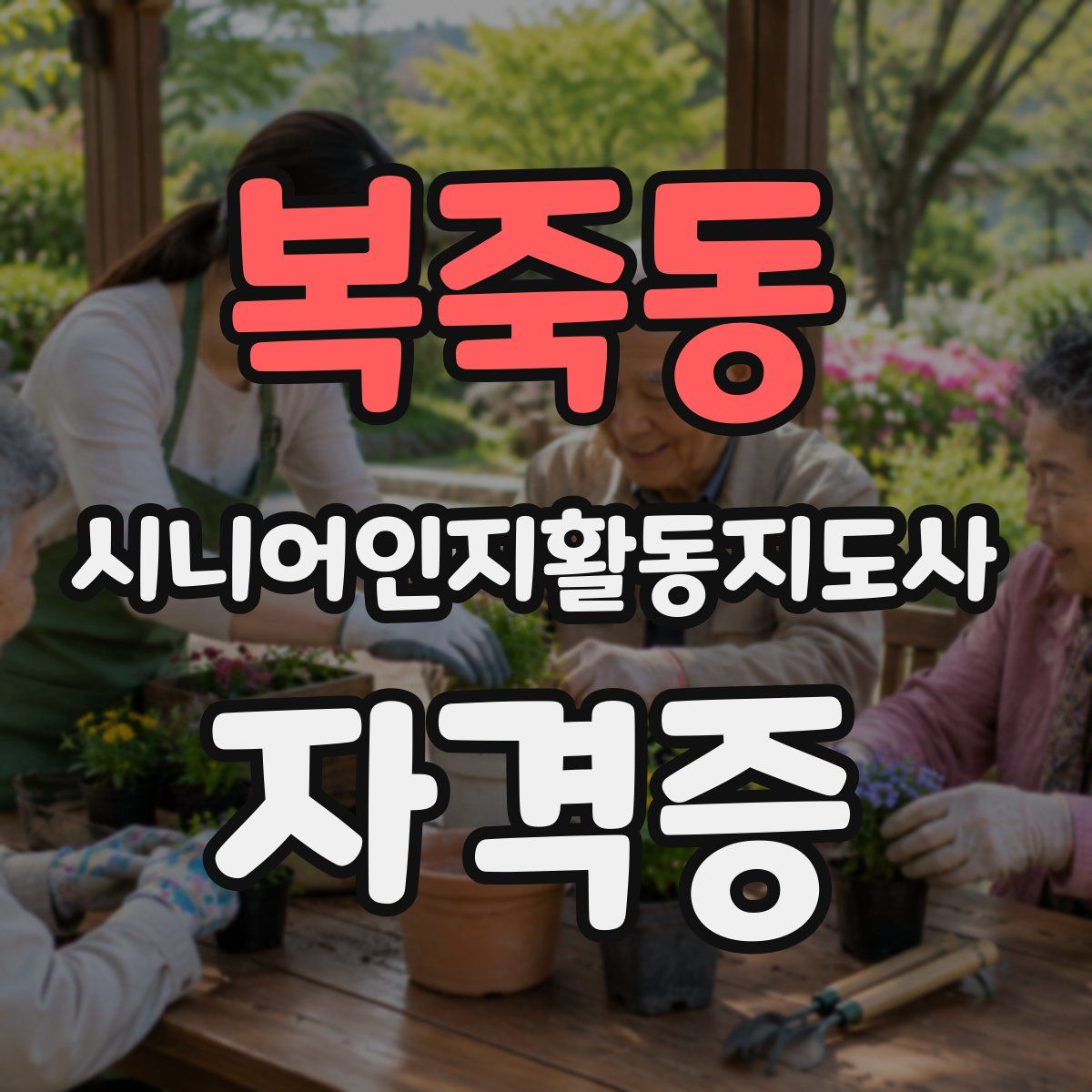 복죽동 시니어인지활동지도사 자격증