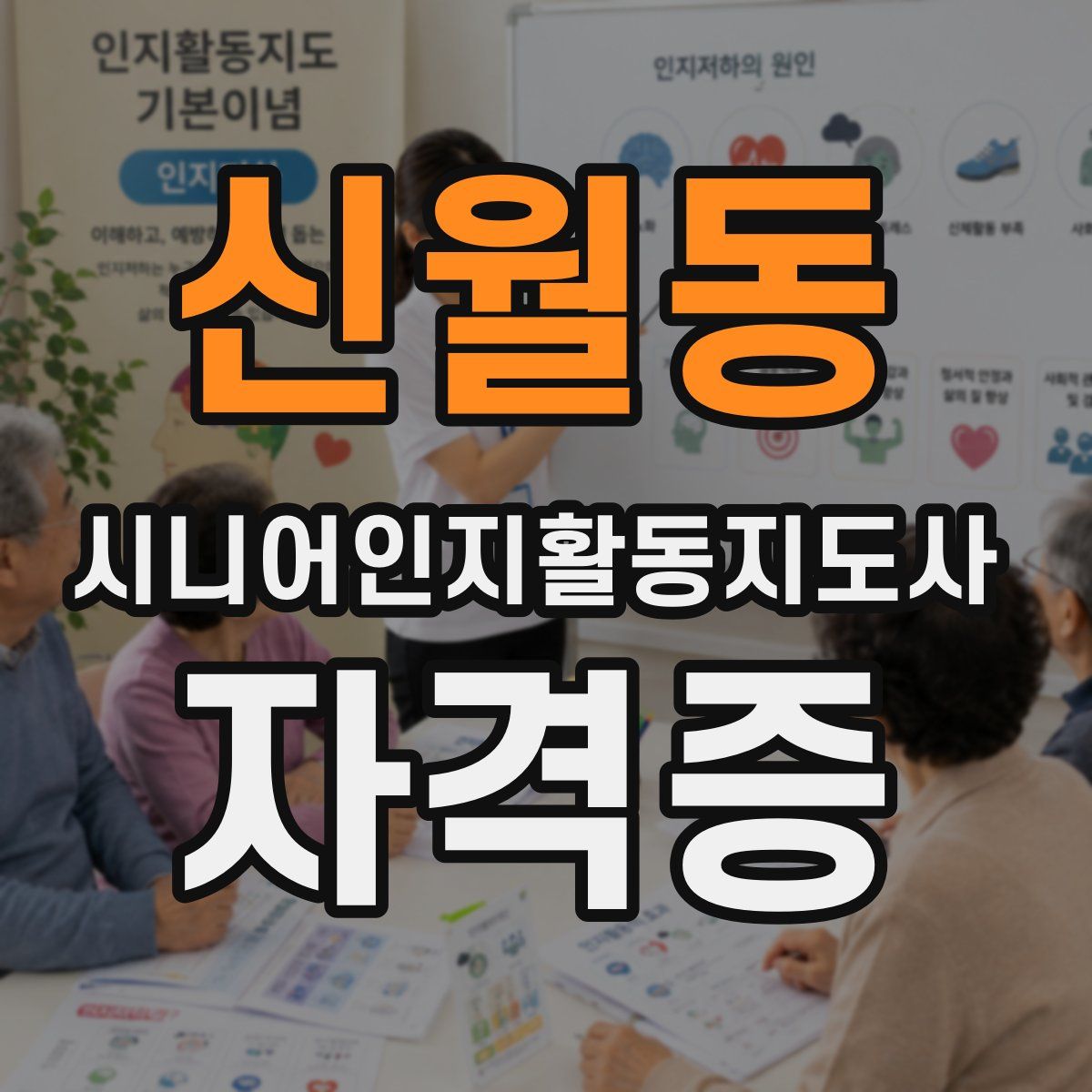 신월동 시니어인지활동지도사 자격증