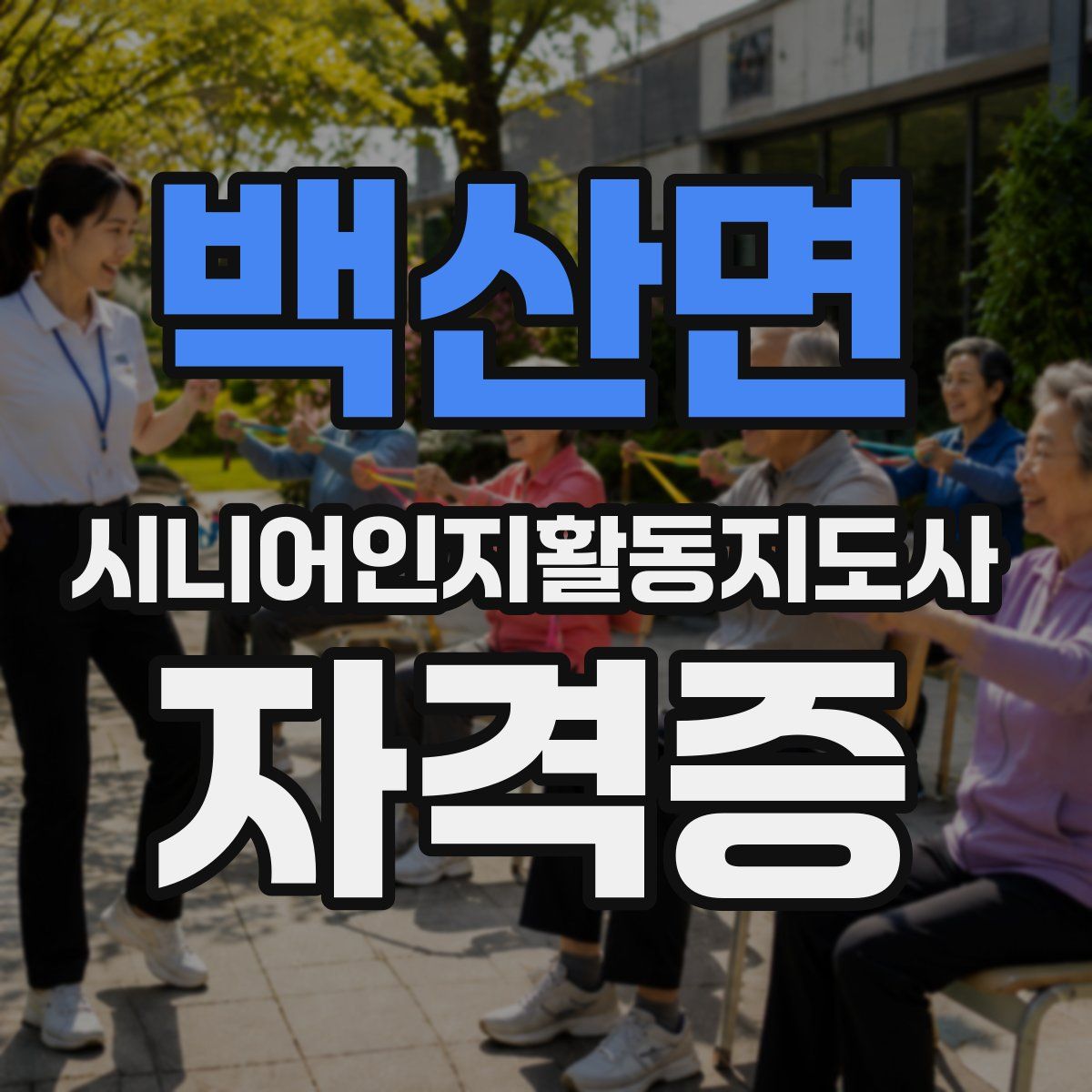 백산면 시니어인지활동지도사 자격증