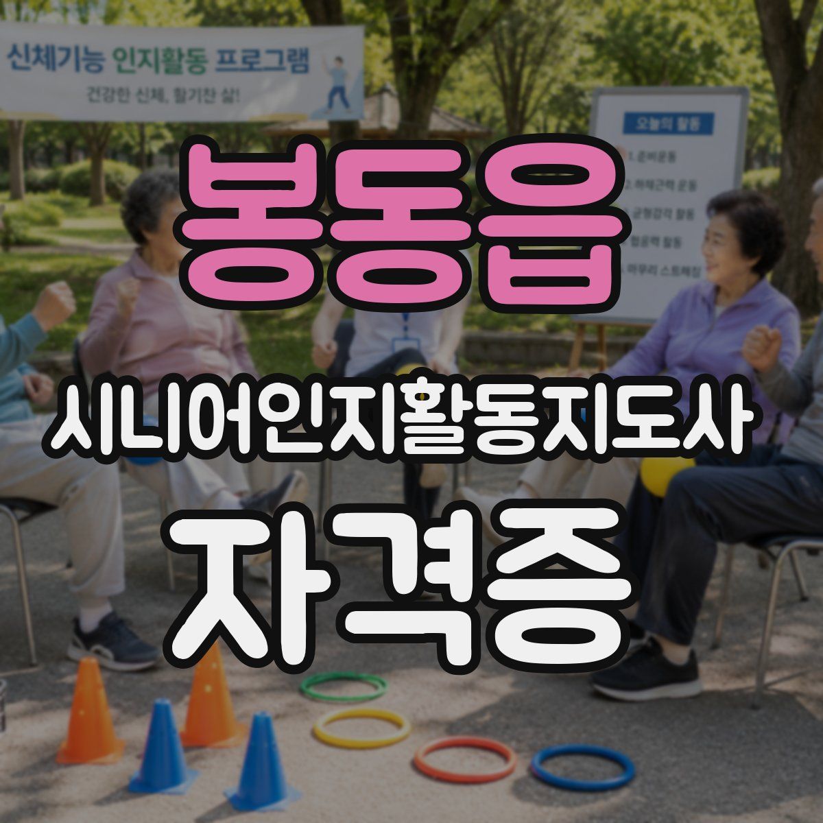 봉동읍 시니어인지활동지도사 자격증