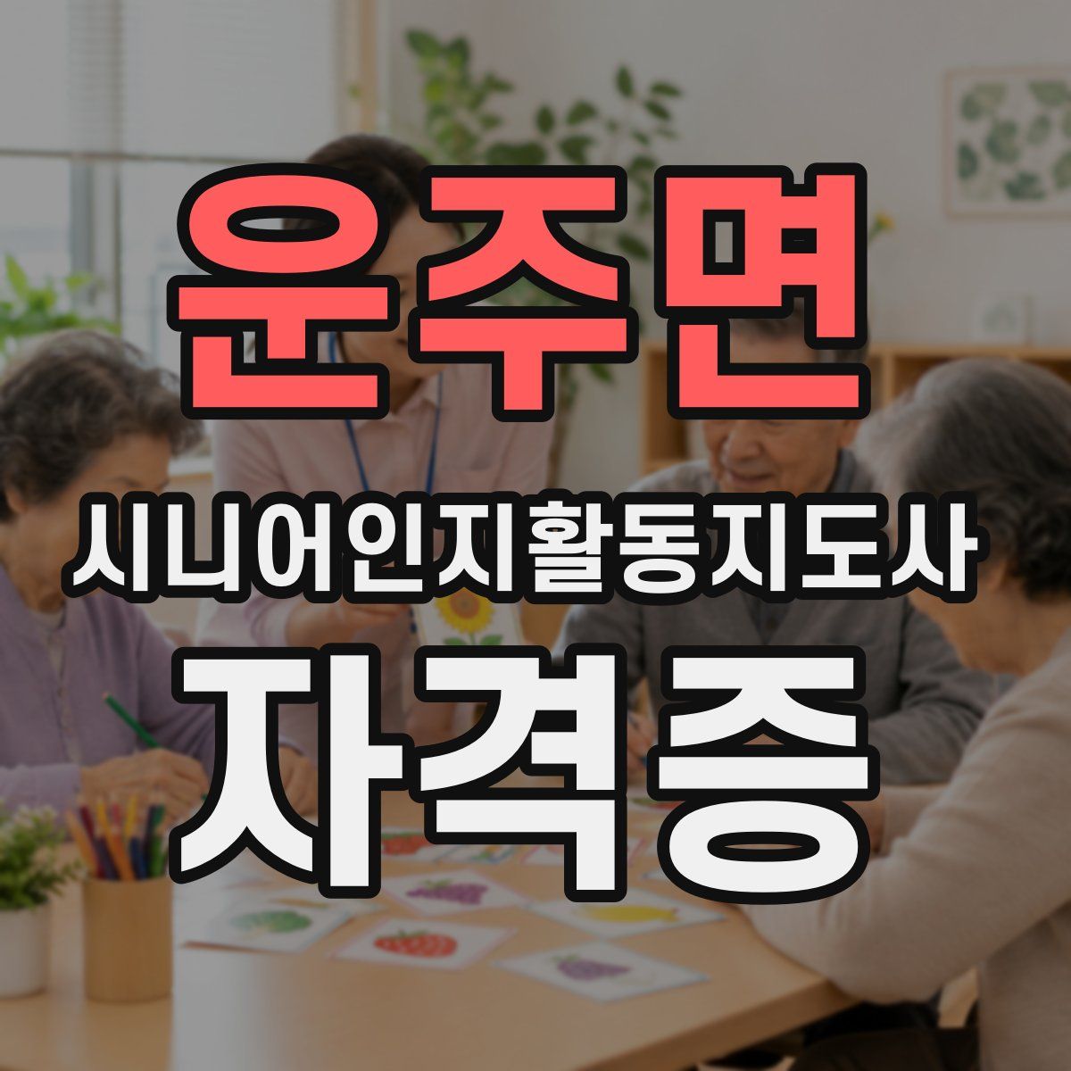 운주면 시니어인지활동지도사 자격증