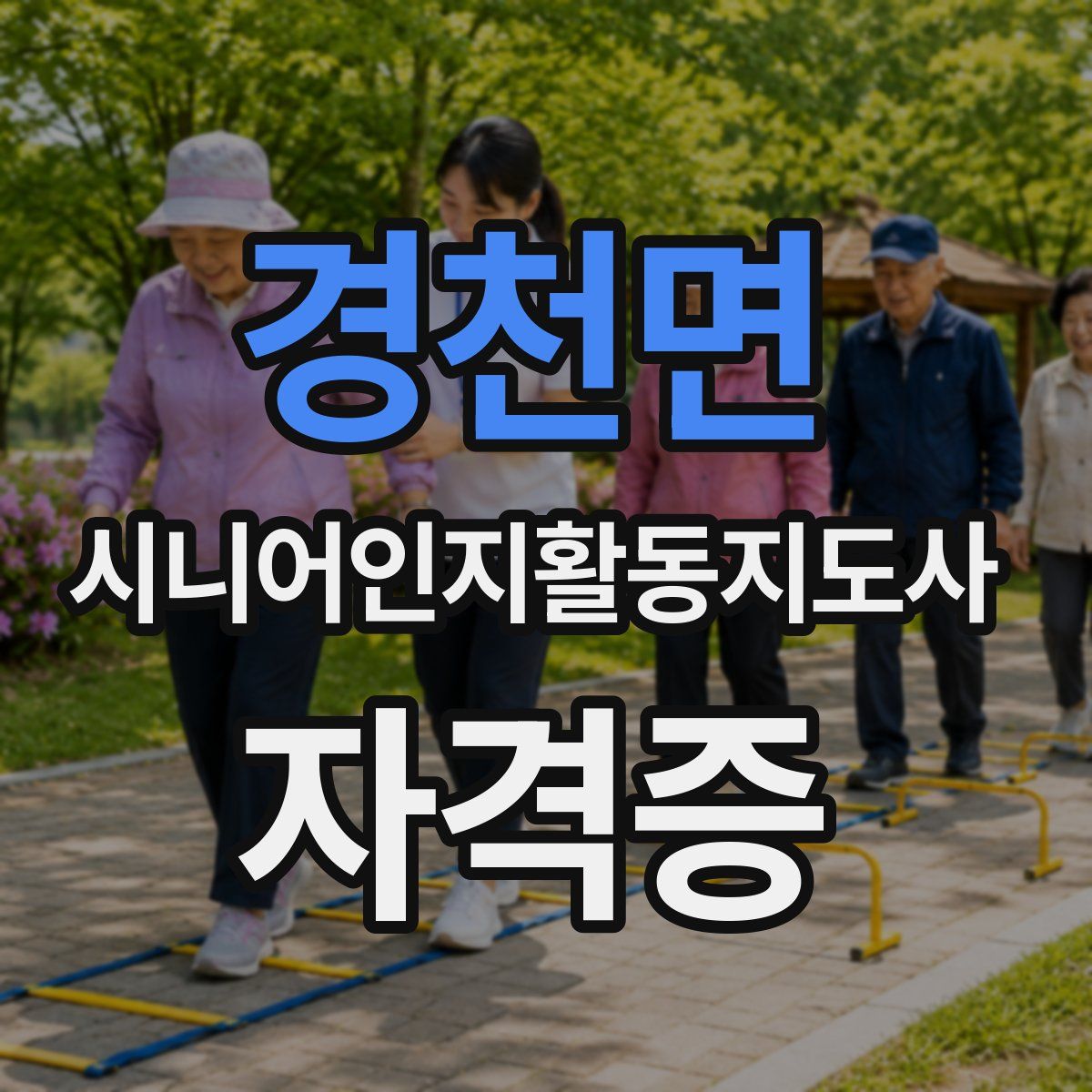 경천면 시니어인지활동지도사 자격증