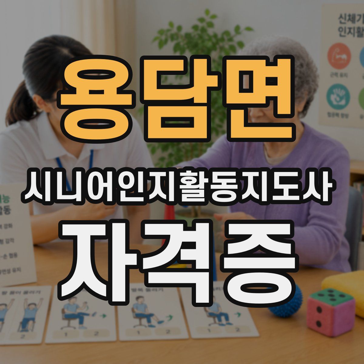 용담면 시니어인지활동지도사 자격증