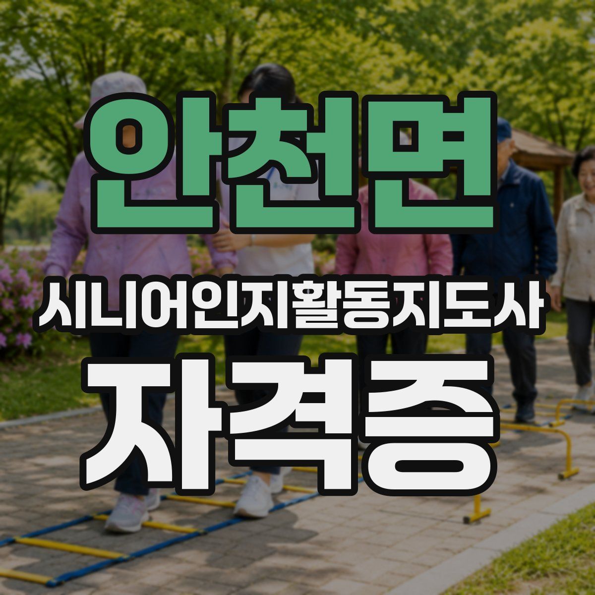 안천면 시니어인지활동지도사 자격증