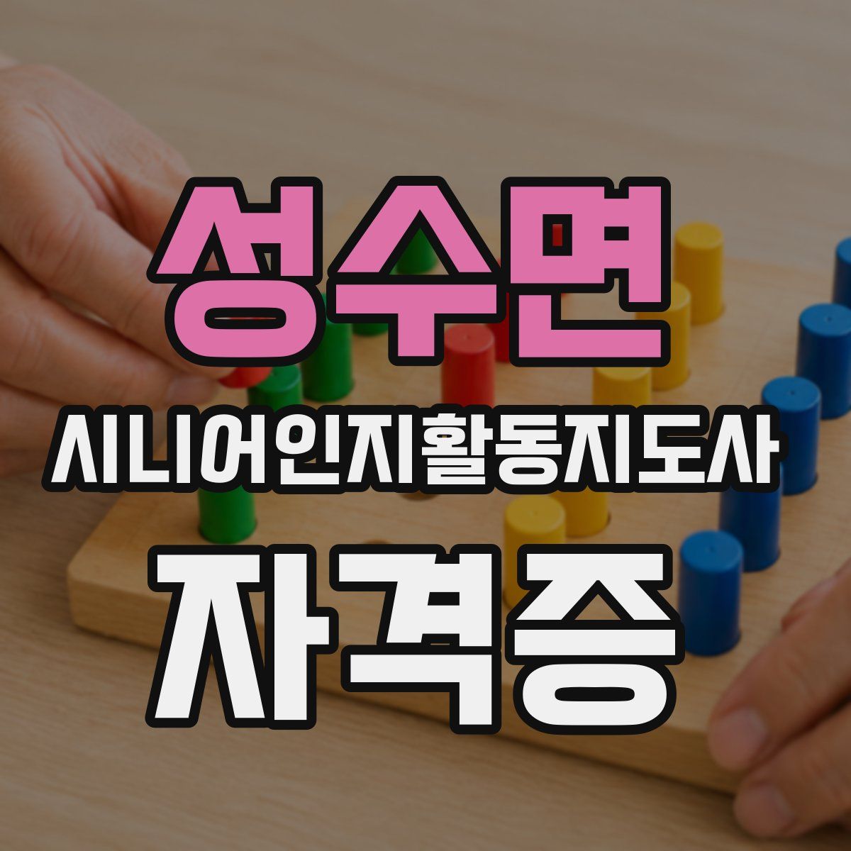 성수면 시니어인지활동지도사 자격증