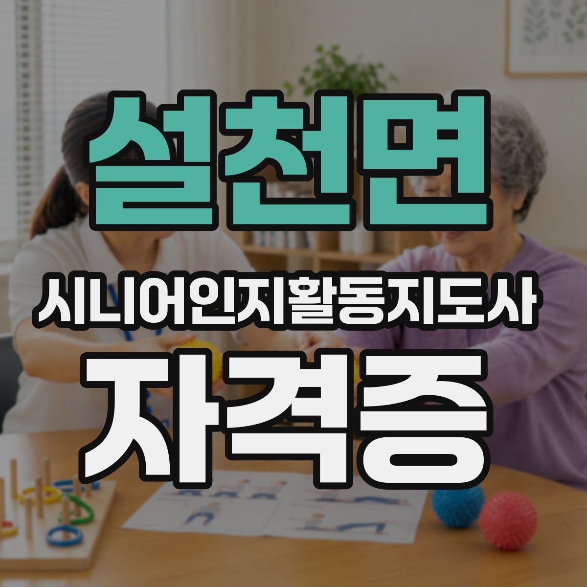 설천면 시니어인지활동지도사 자격증