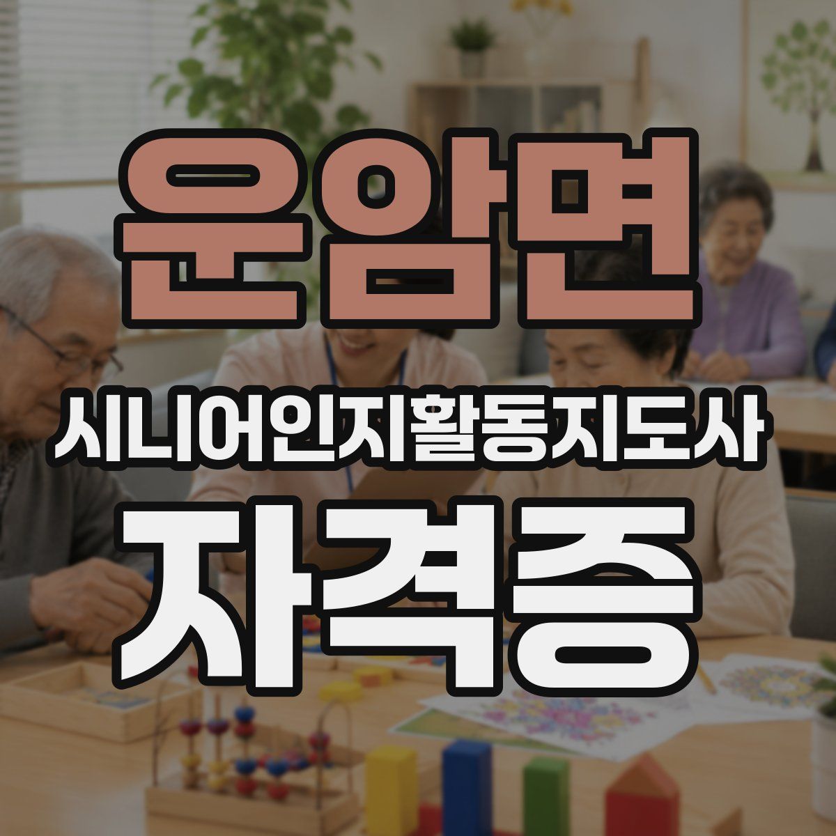 운암면 시니어인지활동지도사 자격증