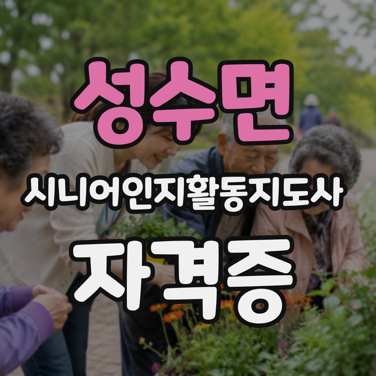 성수면 시니어인지활동지도사 자격증