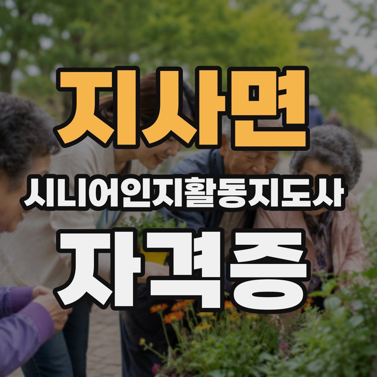지사면 시니어인지활동지도사 자격증