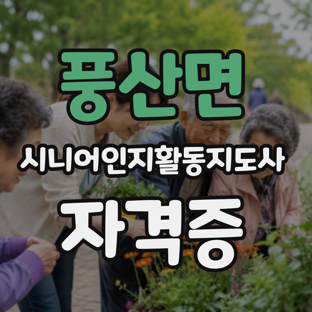 풍산면 시니어인지활동지도사 자격증
