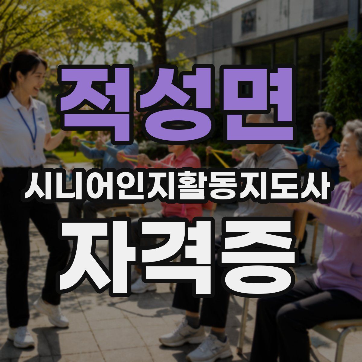 적성면 시니어인지활동지도사 자격증