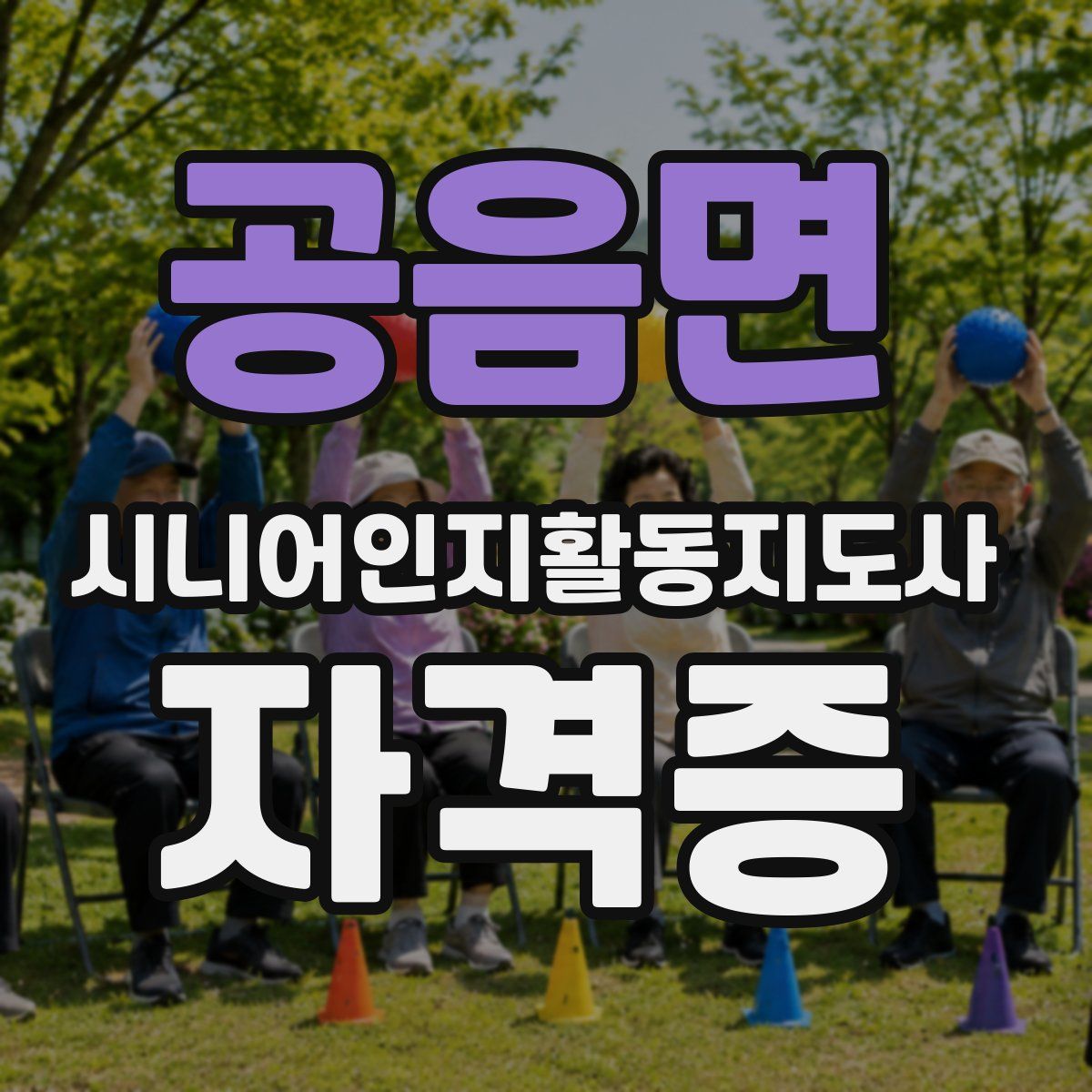 공음면 시니어인지활동지도사 자격증