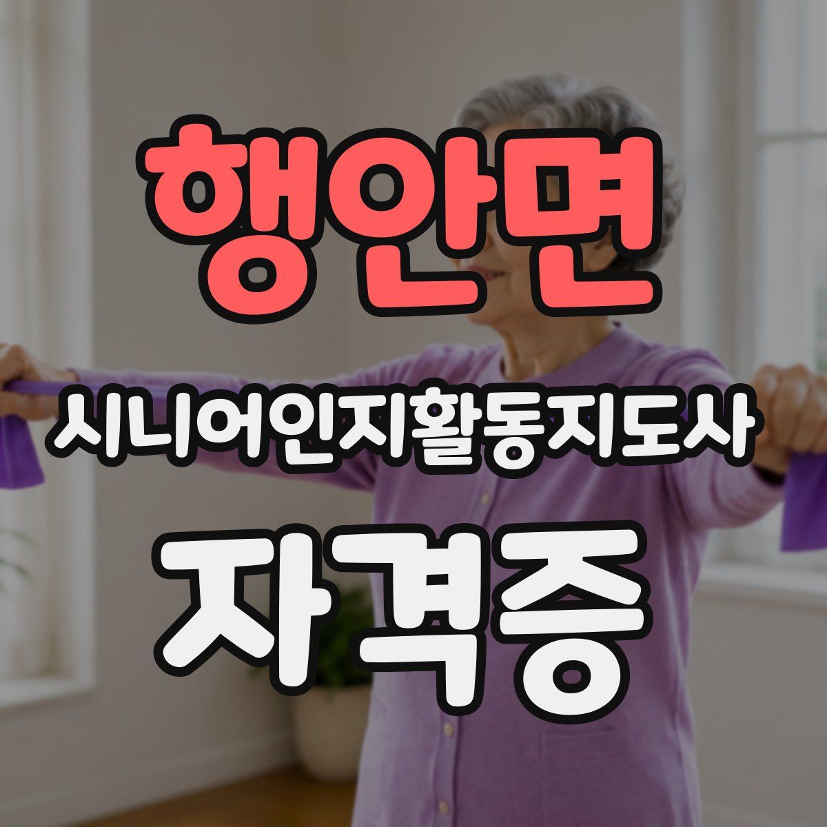 행안면 시니어인지활동지도사 자격증