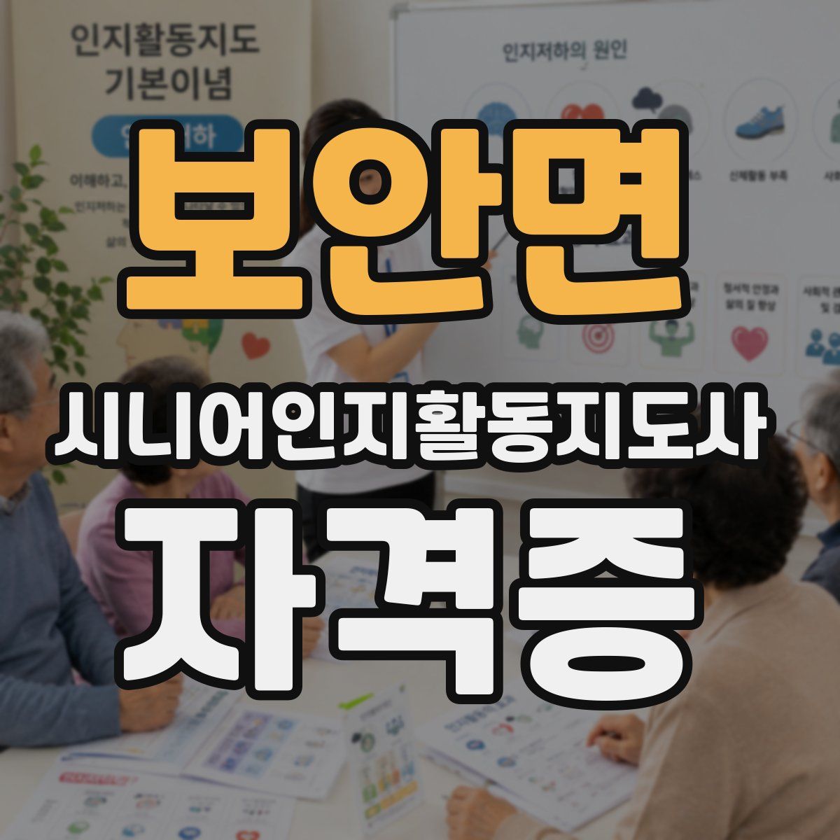 보안면 시니어인지활동지도사 자격증