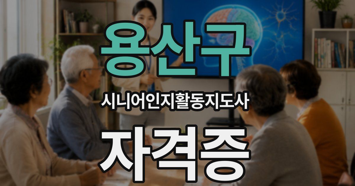 용산구 시니어인지활동지도사 자격증