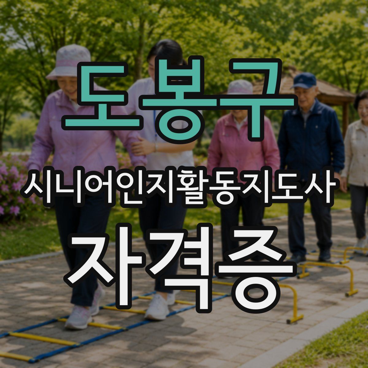 도봉구 시니어인지활동지도사 자격증